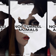 Images via Focus Features